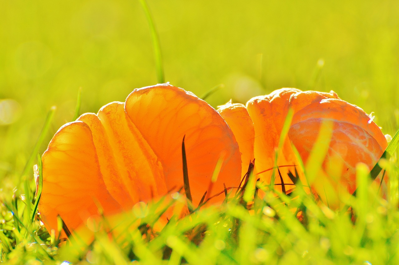 绿谷最新壁纸,自然与科技的完美融合之美探索