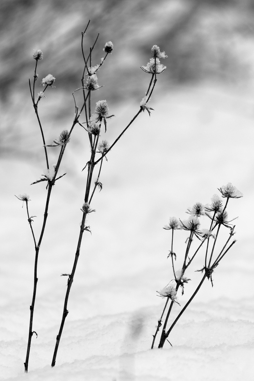 秋霞的魅力,古老与现代的完美交织