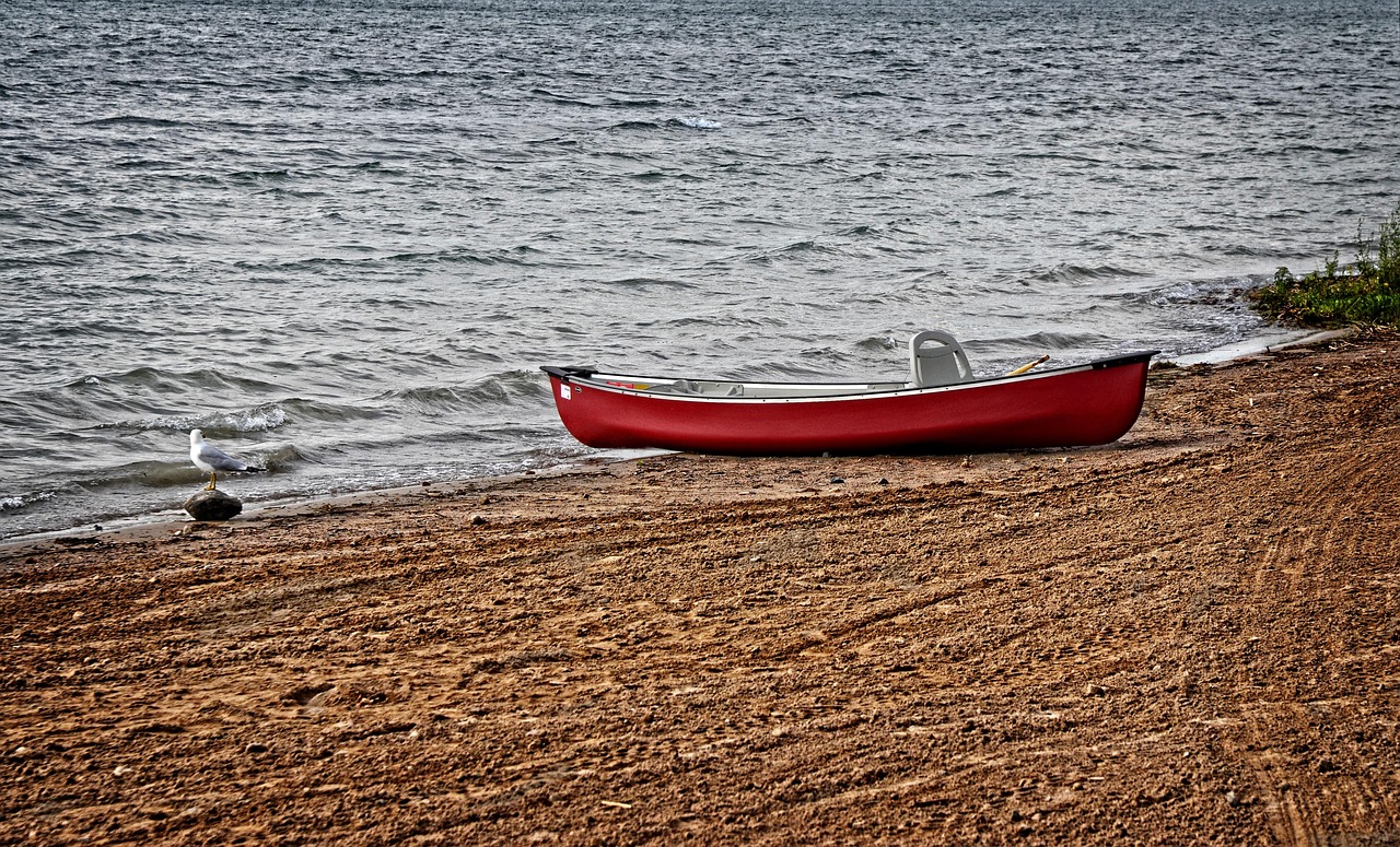 沙区最新疫情动态与应对策略综述