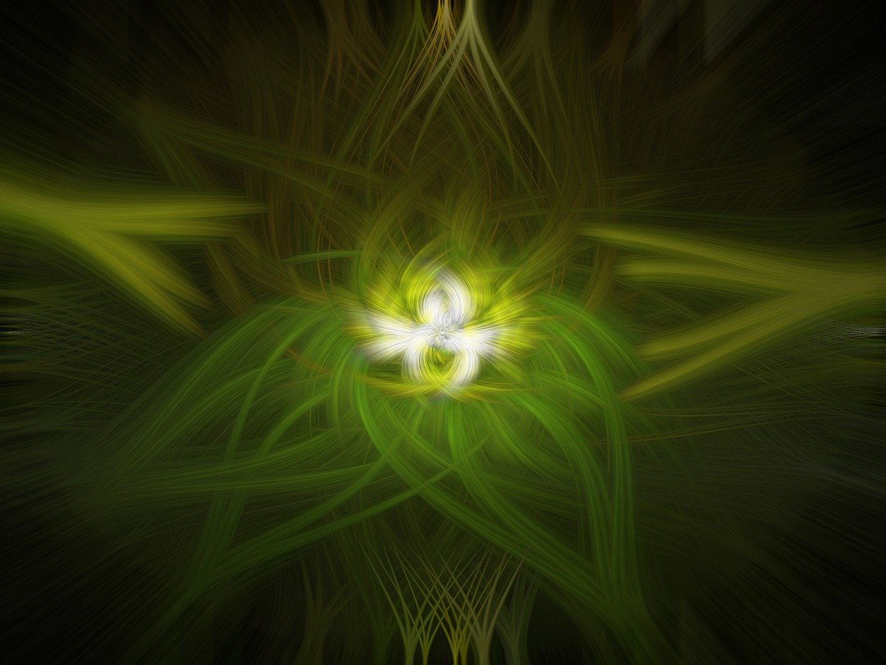 伍成贵最新动态，探索前沿，引领未来