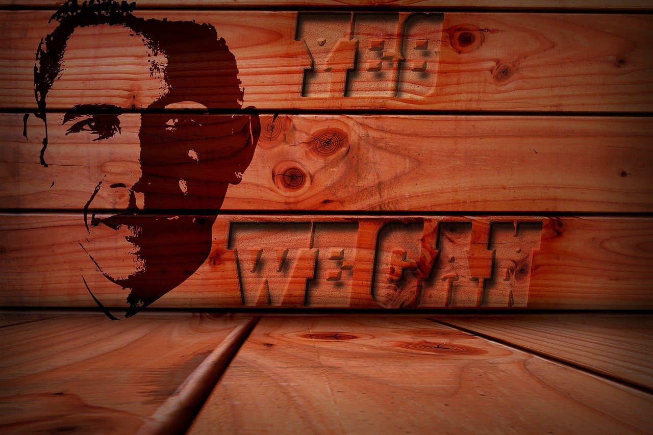 美国局势最新动态,多元复杂背景下的挑战与机遇解析