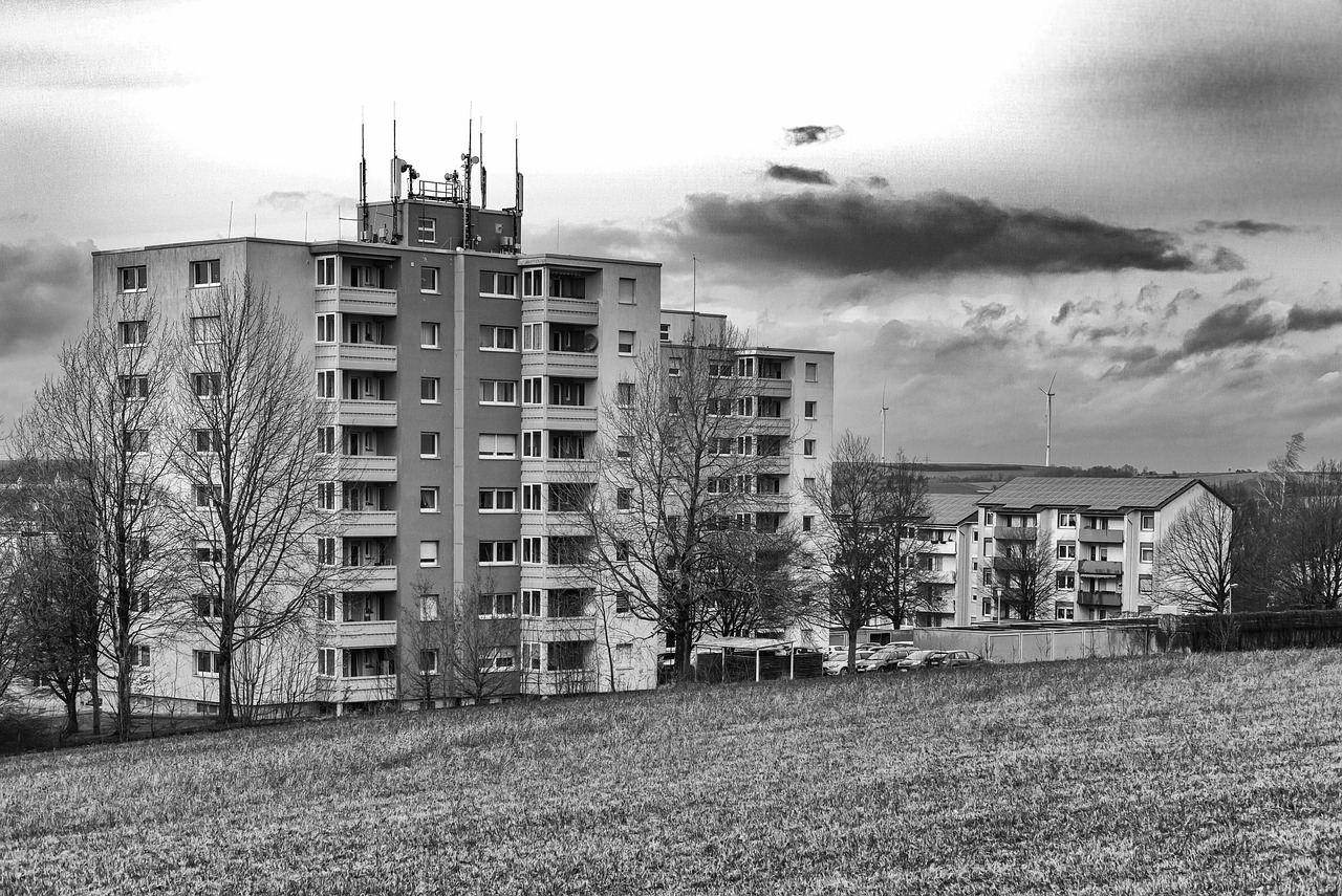 临淄最新文,历史与现代的交融之美展现当代风采