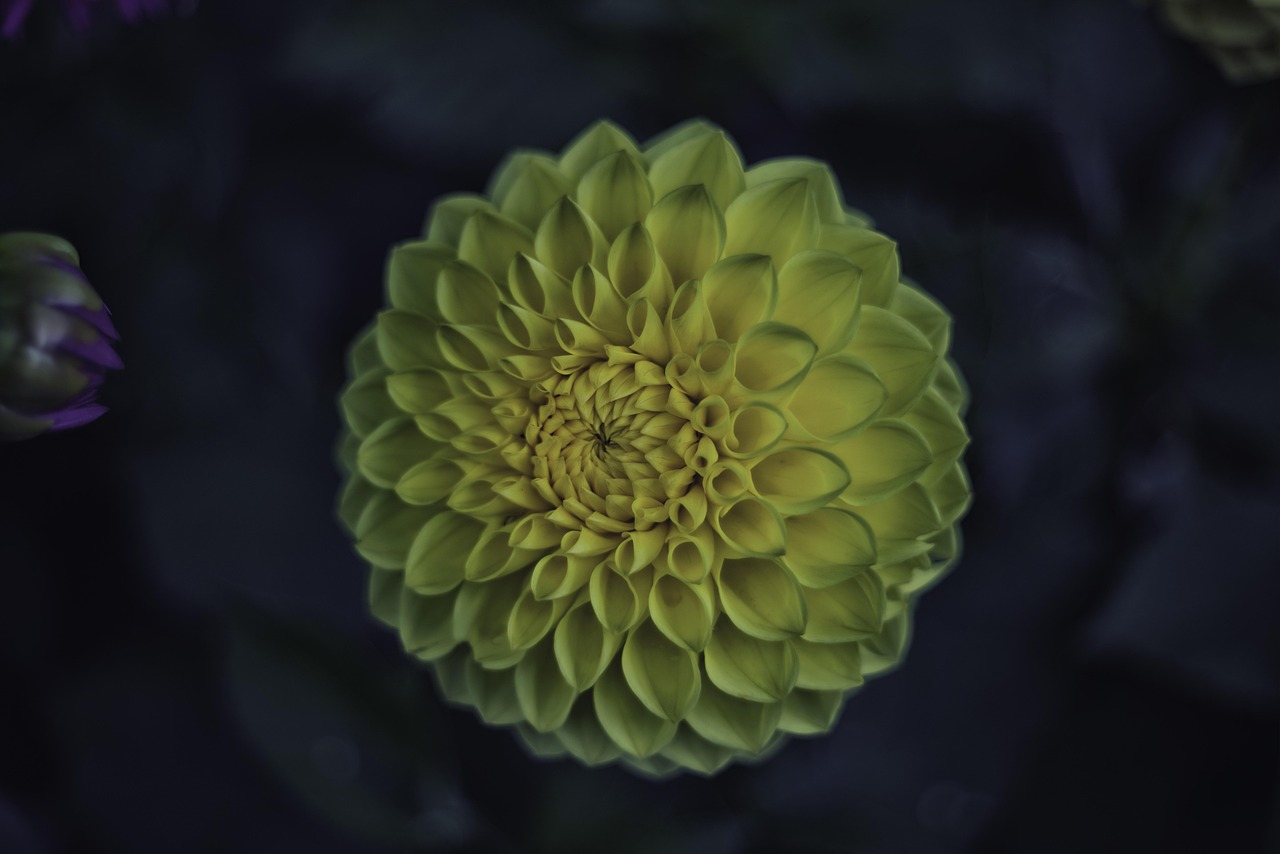 武汉新冠疫情最新动态与防控进展报告