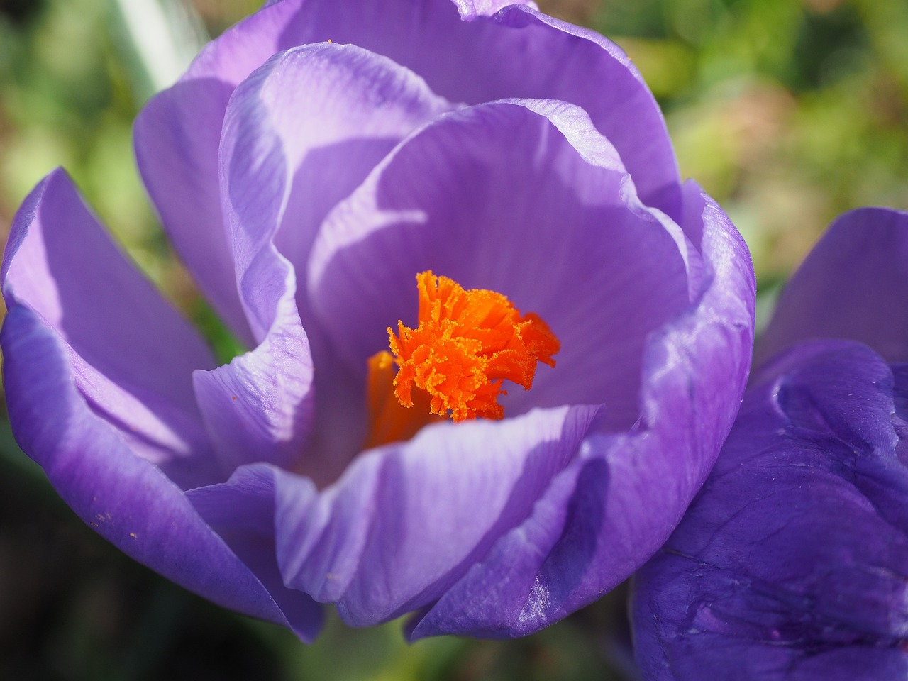 綦江交通最新发展动态概览