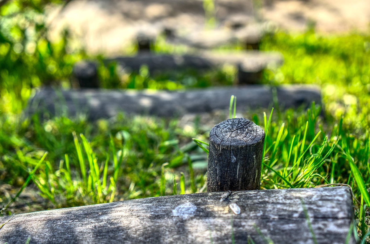 正弘城最新动态,城市璀璨新星崛起