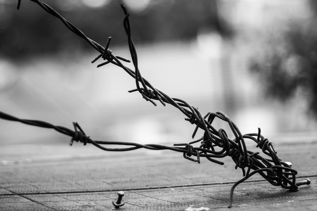 邱礼涛最新力作,探索电影艺术的无限边界