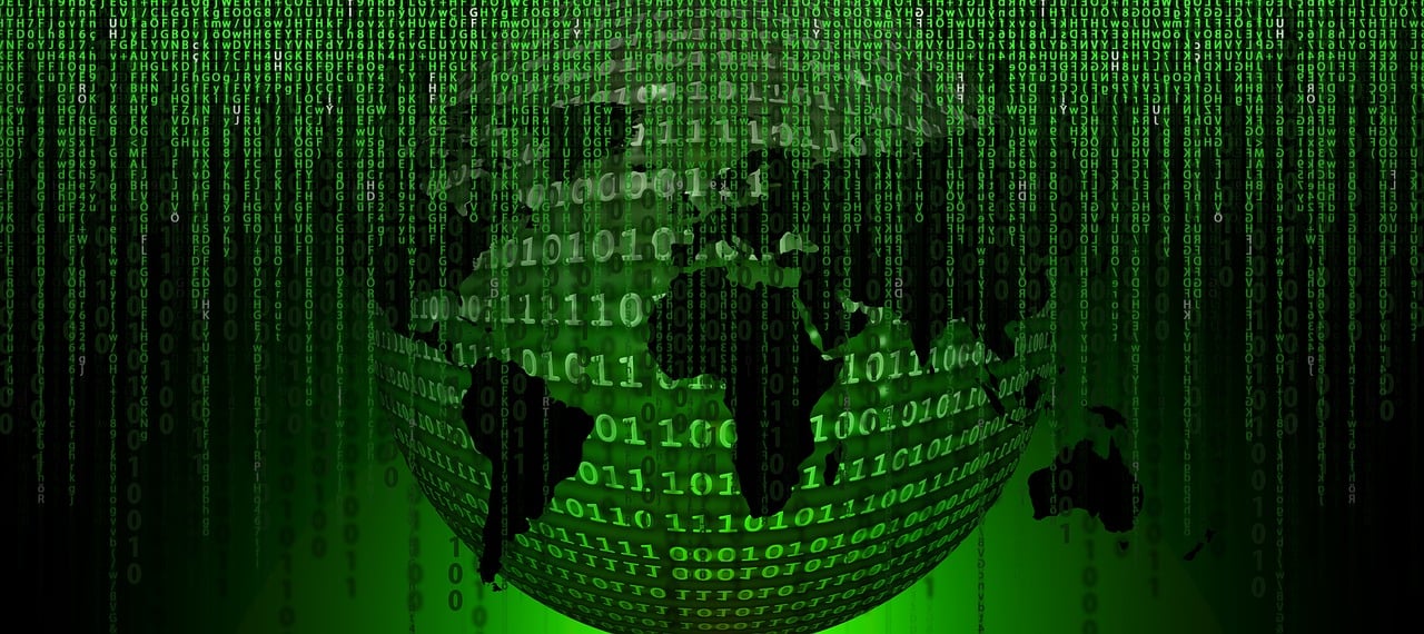 兔区APP最新动态解读,用户体验与功能升级全面展示