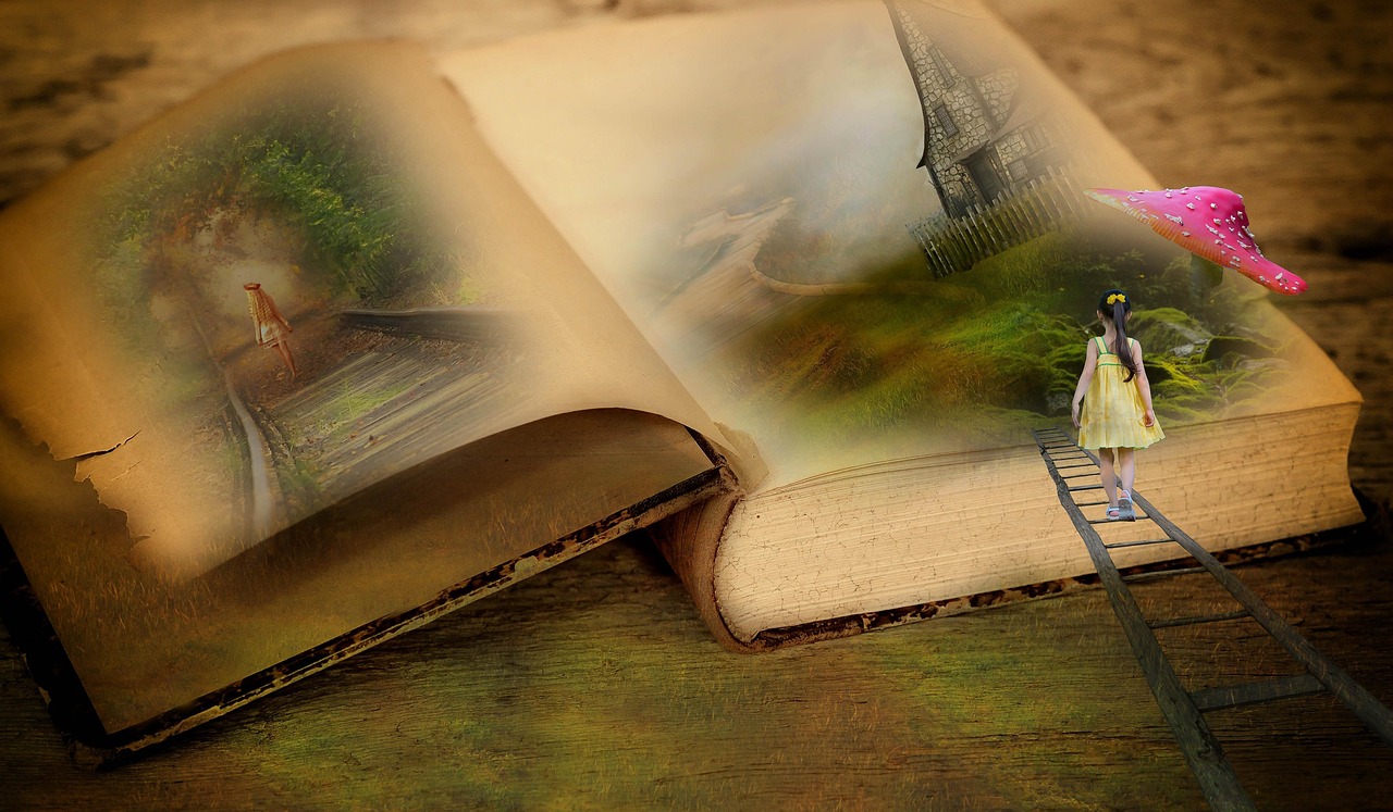 浮兮最新书,神秘未知世界的探索之旅