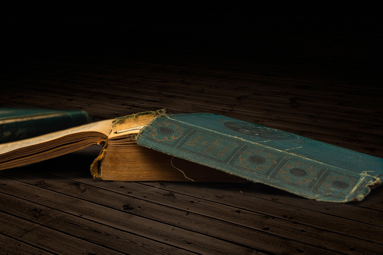 浮兮最新书,神秘未知世界的探索之旅