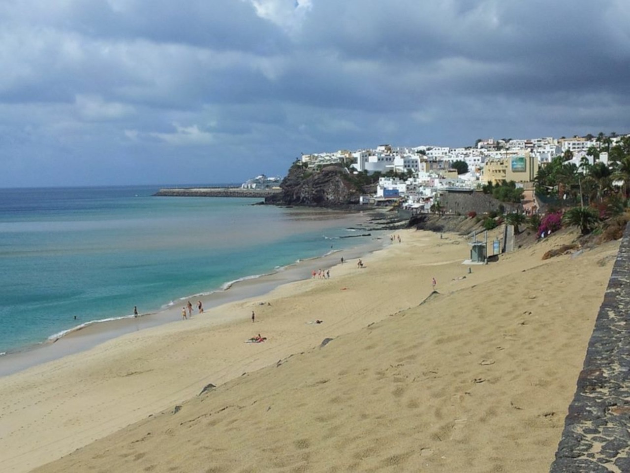 最新台风动态及行情分析