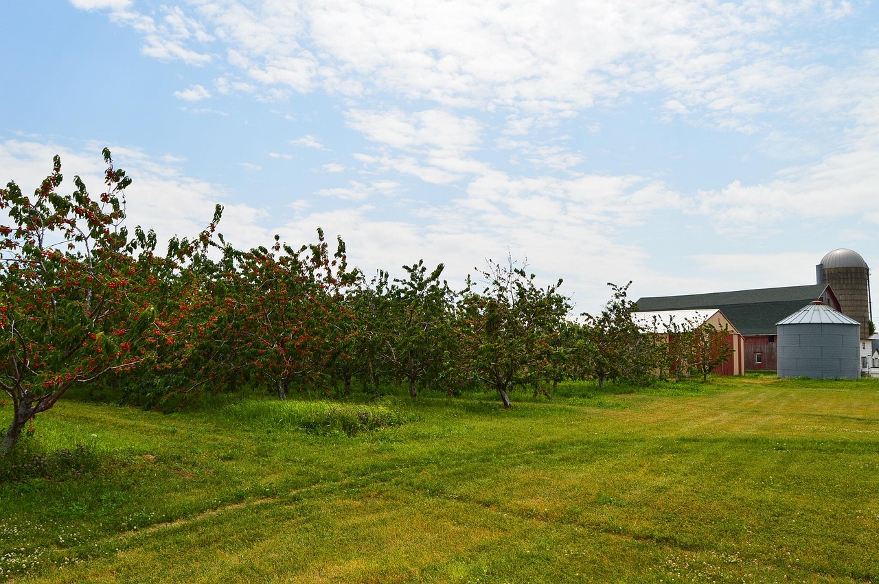 花都疫情最新动态，全面防控措施实施，保障人民生命安全
