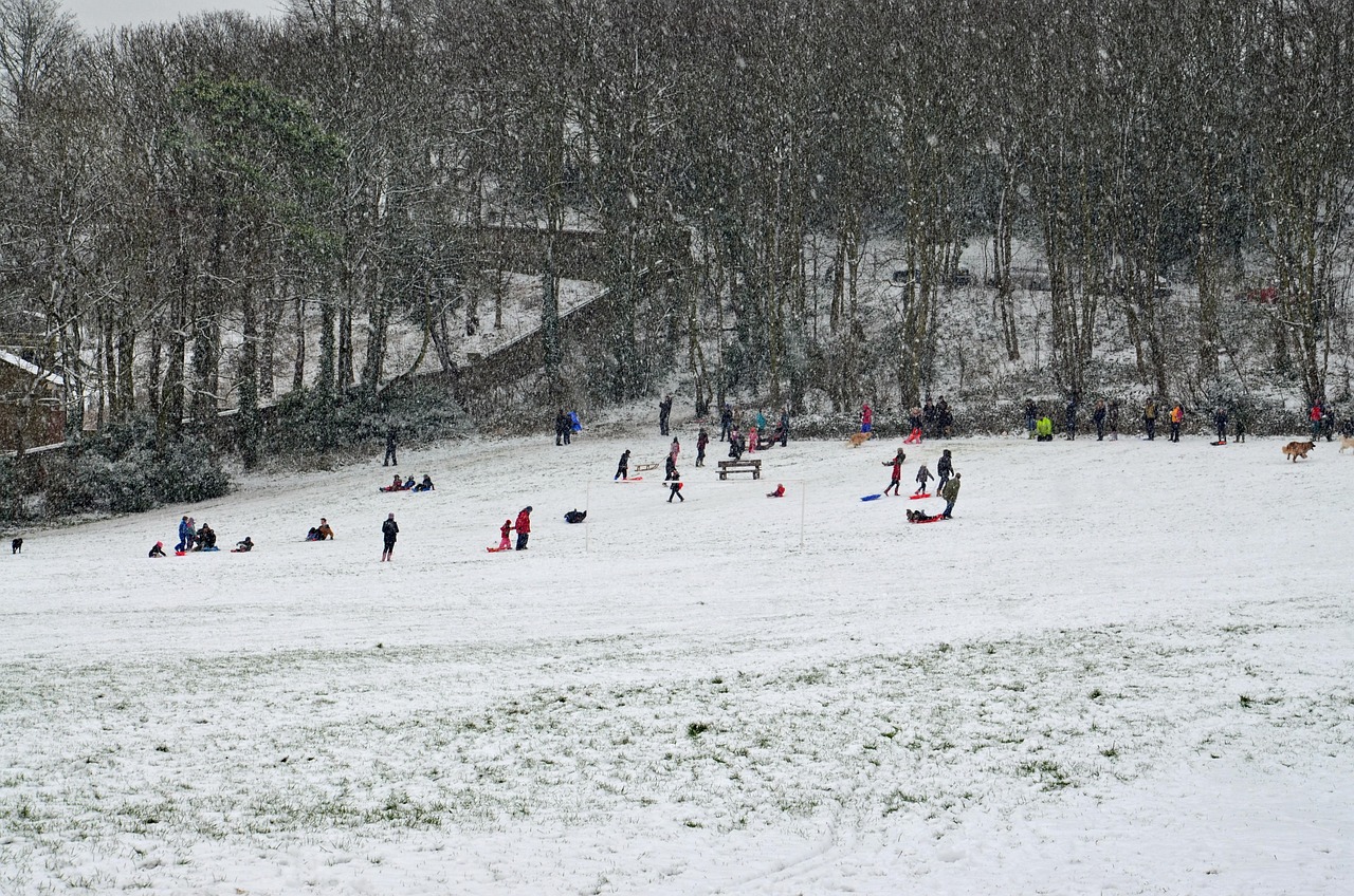 中兴通讯最新动态分析与展望