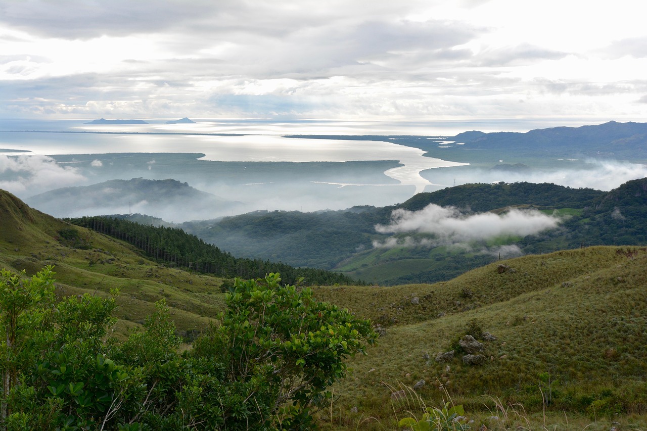 最新中国国债市场动态与趋势展望