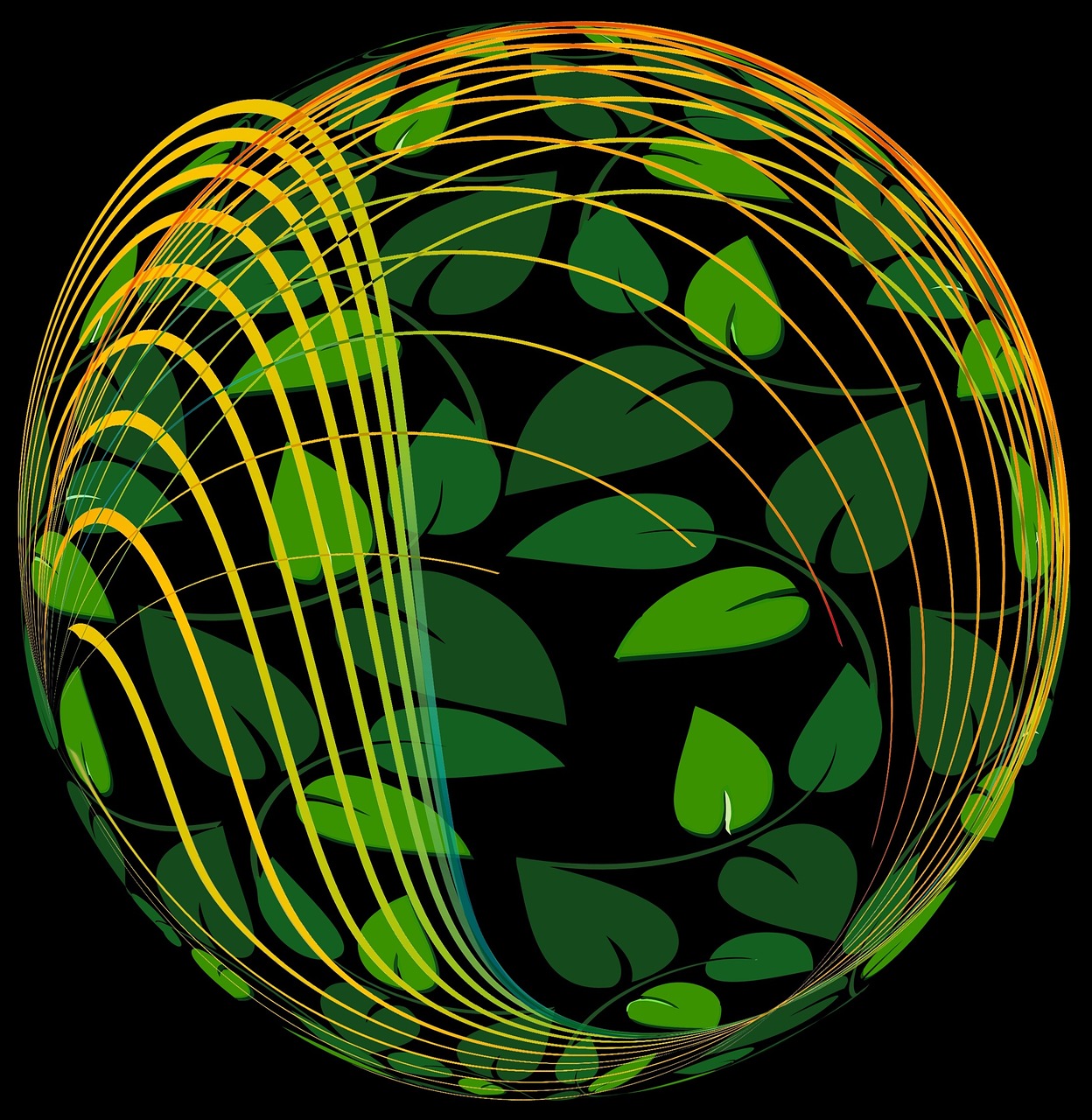 安吉最新气象,探索气象变化与生态保护之路的联动影响