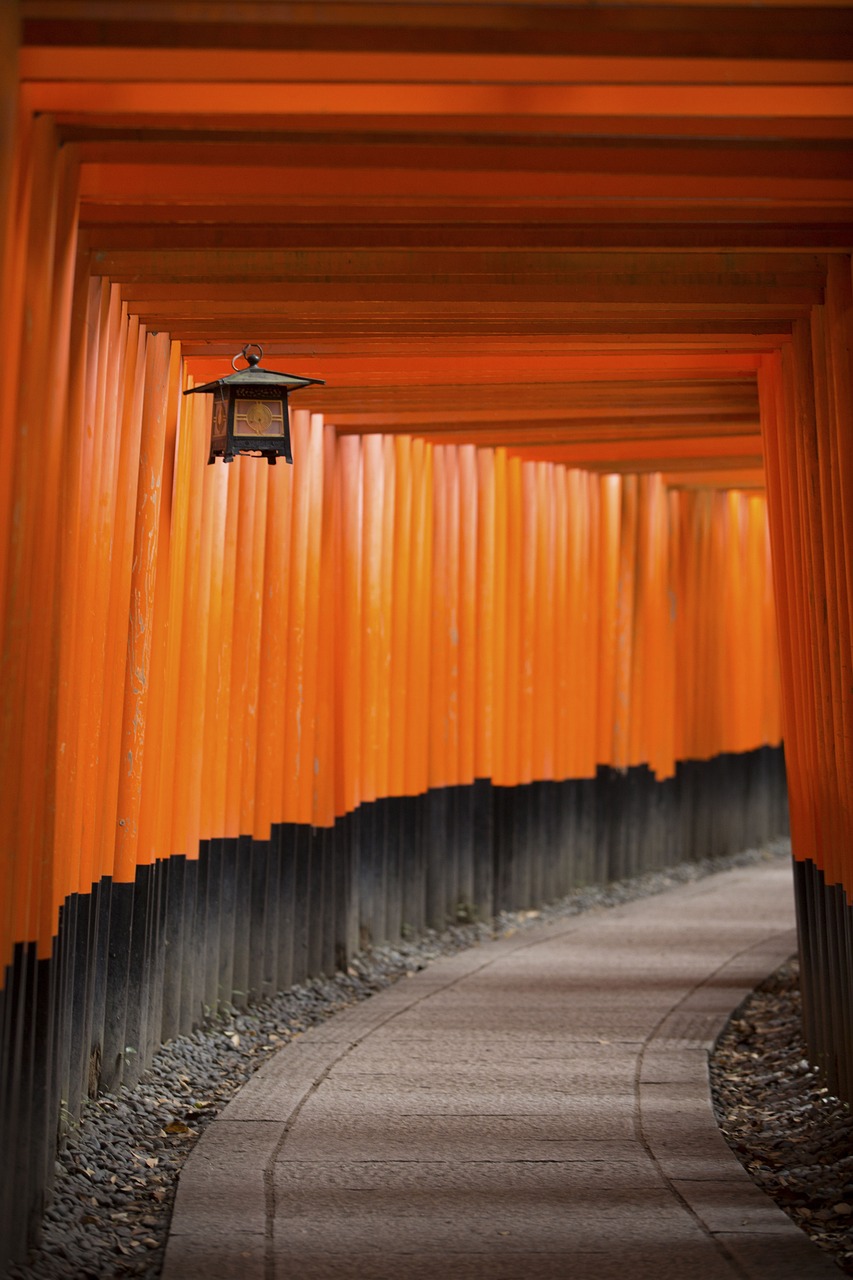 堕钟牛最新研究报告发布,最新动态与发现概述