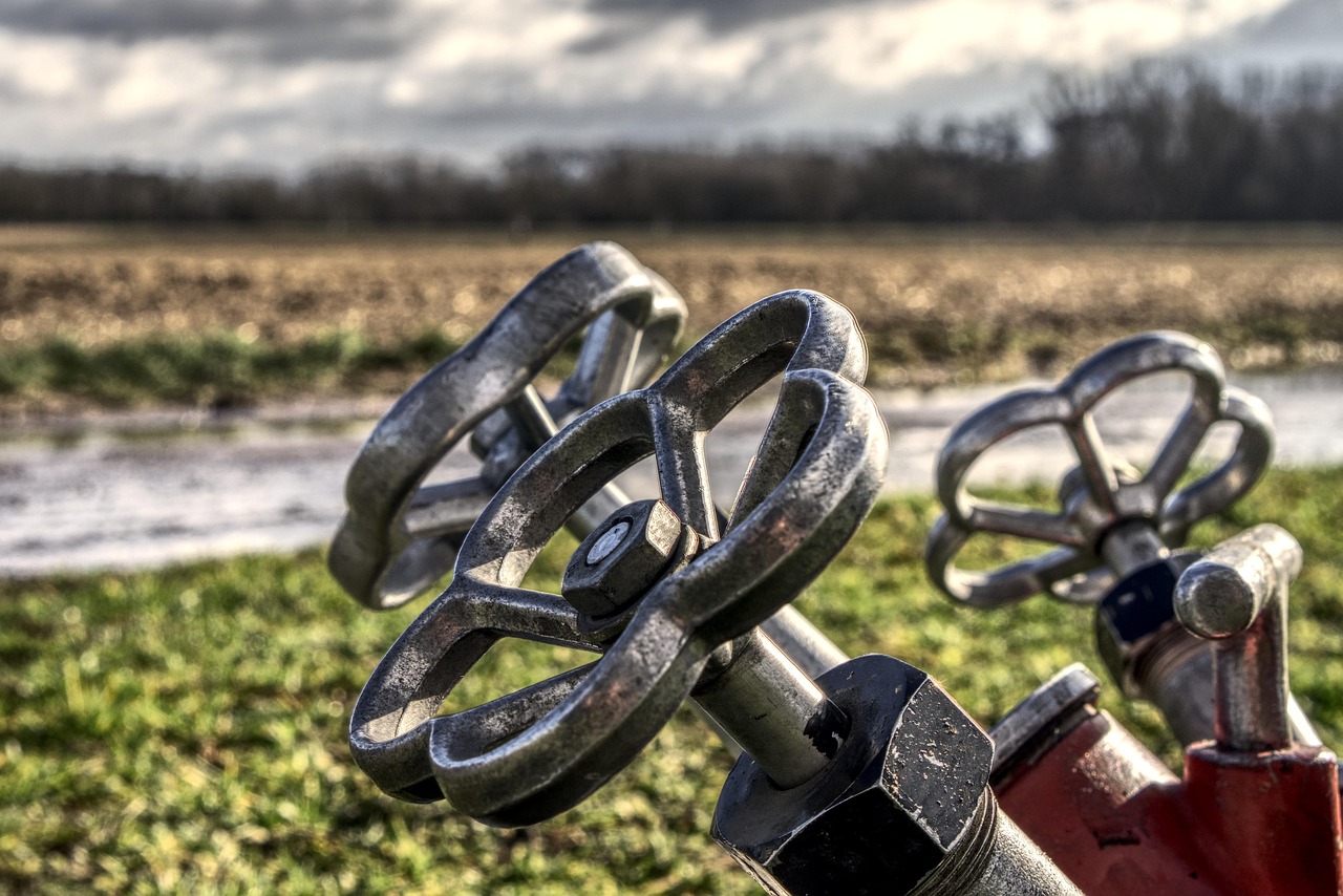 吉林疫情最新动态,抗击疫情,共克时艰