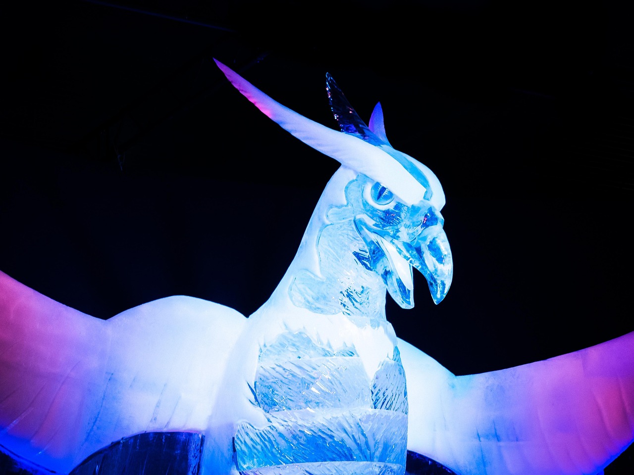 君德荣最新动态,展现卓越品质,引领时代潮流