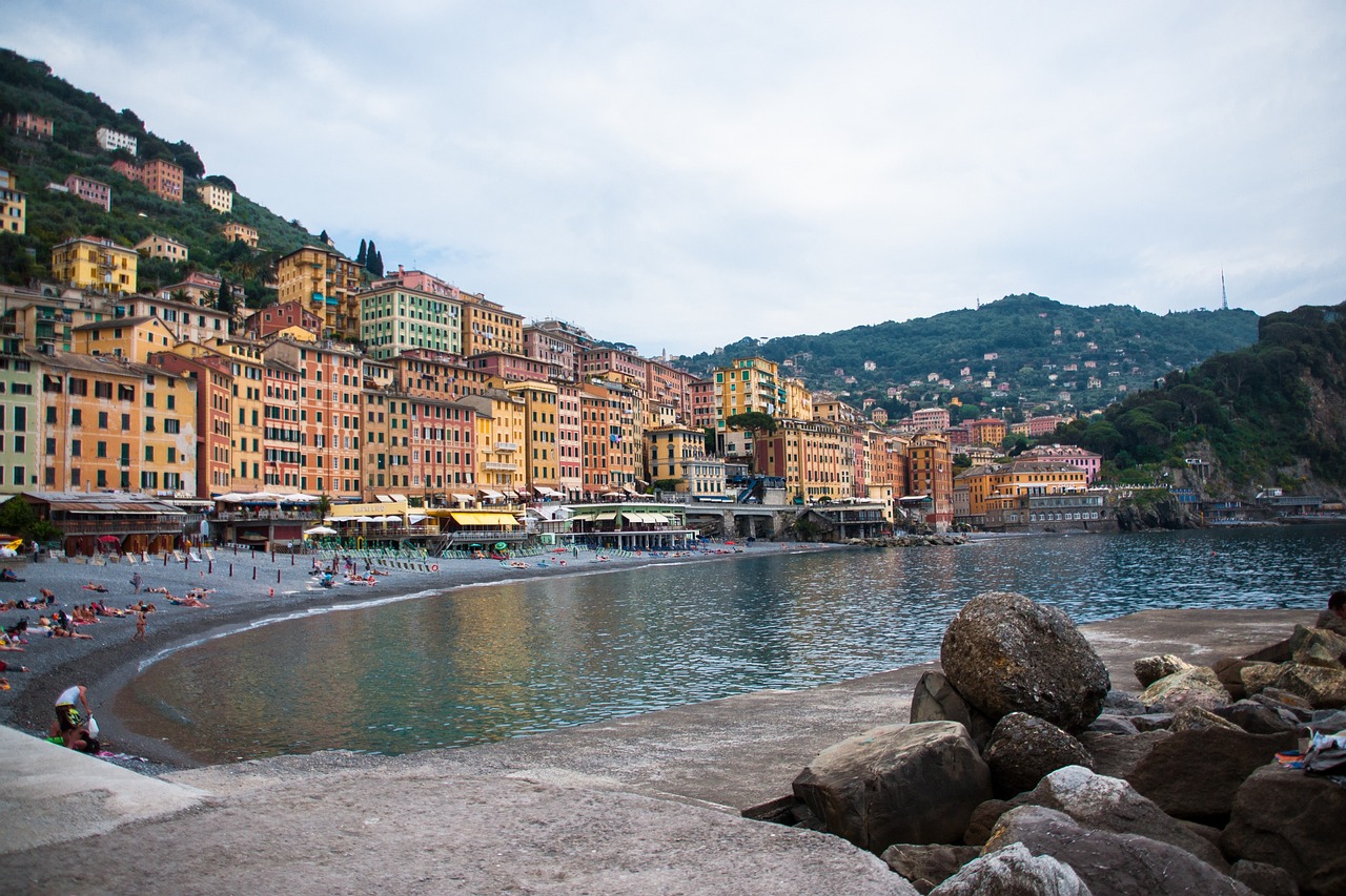 链克最新价格及动态分析概览