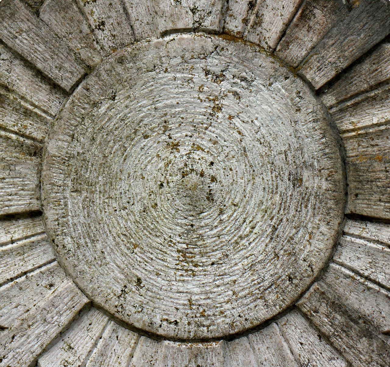 汪涵综艺最新动态，多元领域探索，无限魅力展现