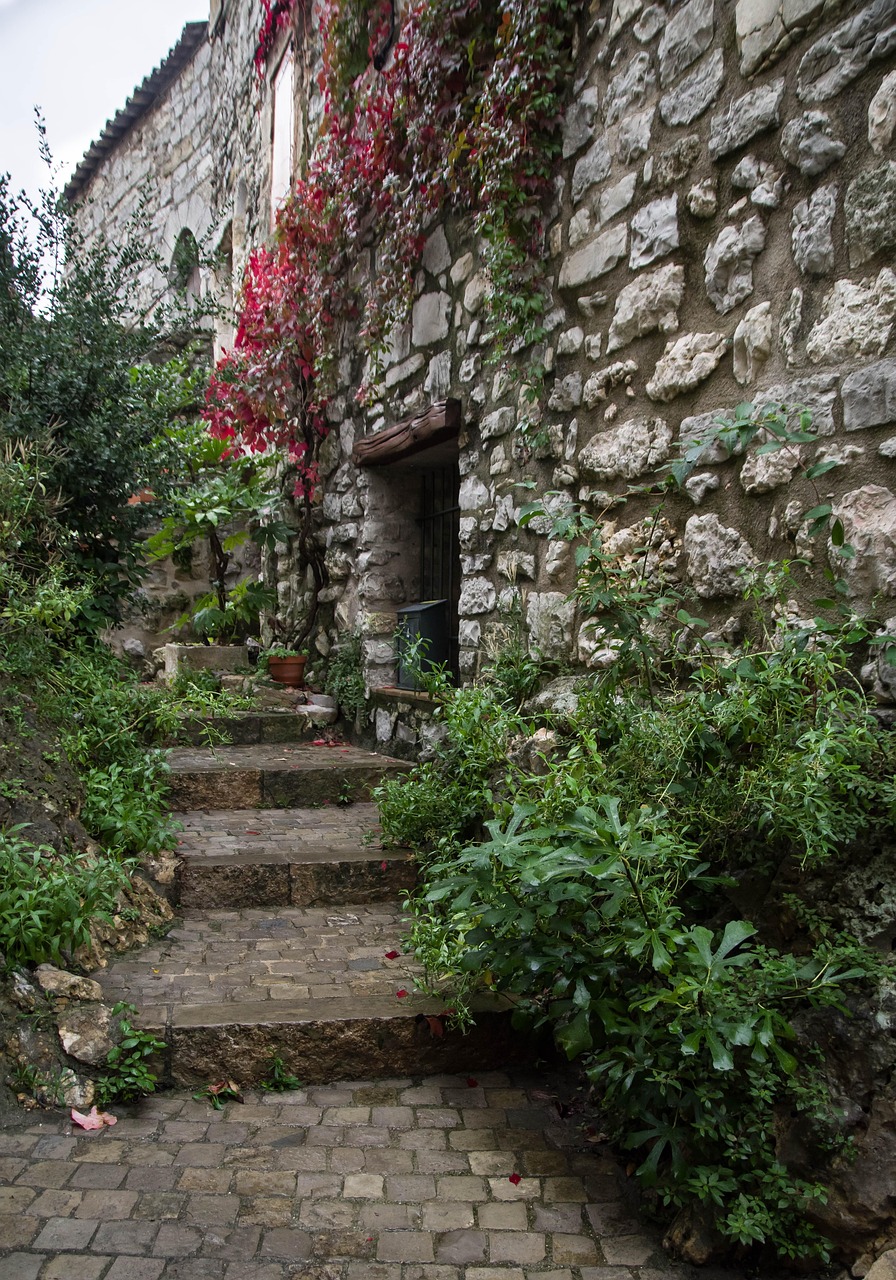 最新河南村长,时代先锋引领乡村发展之路