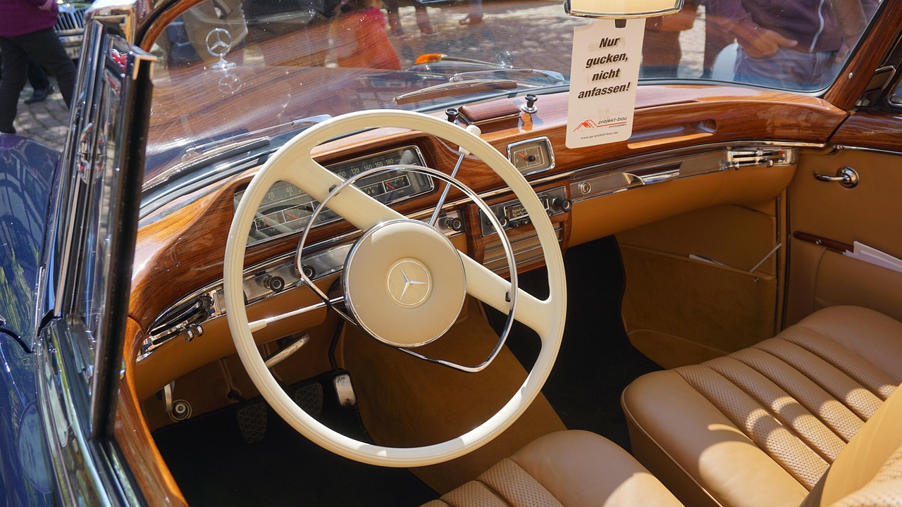 郭珍霓最新动态,璀璨星途展现无限可能