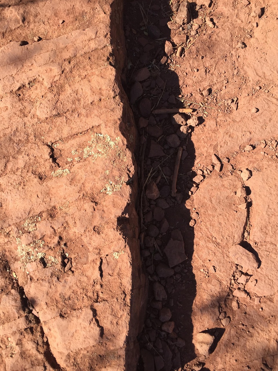 陈大胖最新动态揭秘,探索未知,勇闯未来挑战