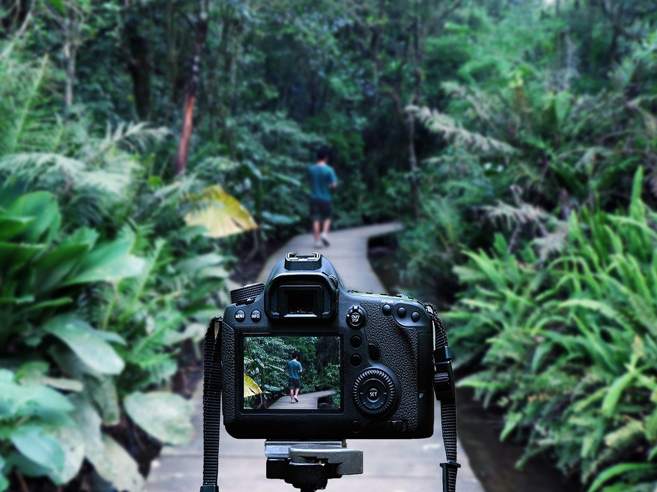 2025年4月 第104页