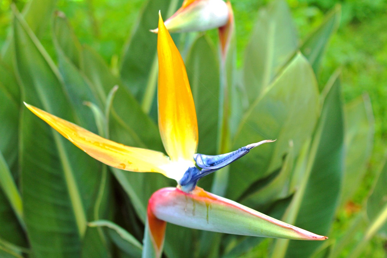 顾明远最新动态与成就概述