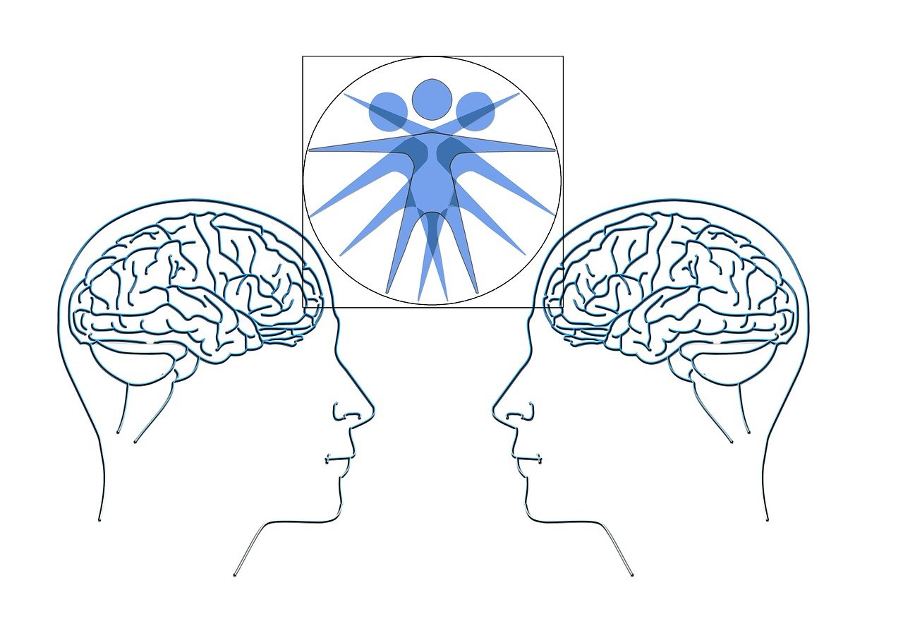 西安最新情况概览,最新动态与发展概述