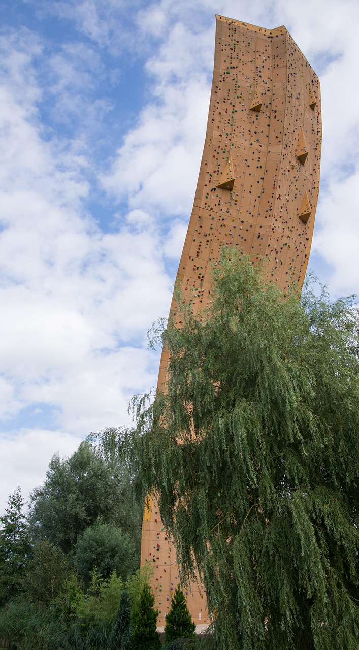 钟登华的最新动态与成就概览