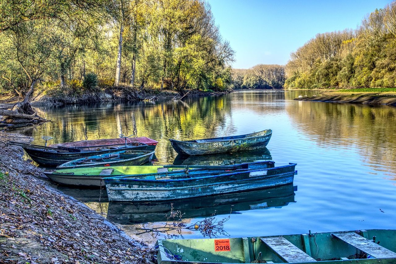 中国足坛最新动态,变革与希望的曙光