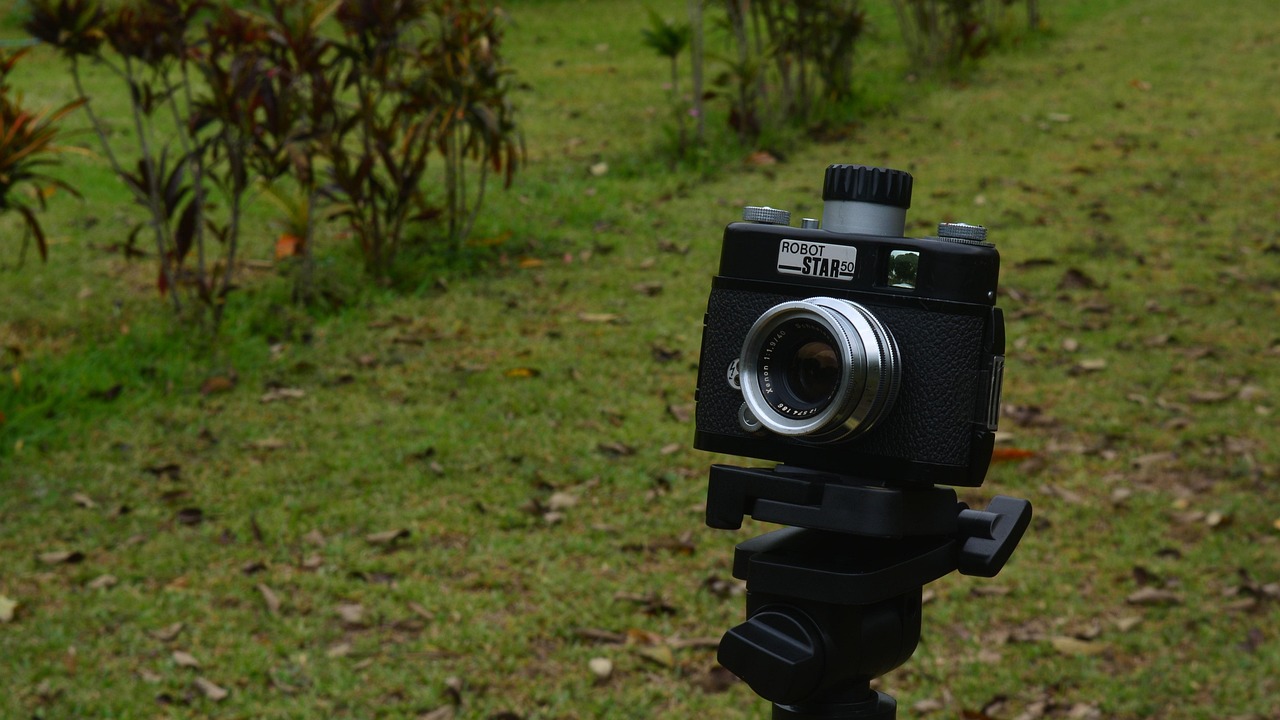 李承美最新动态,闪耀之星持续闪耀