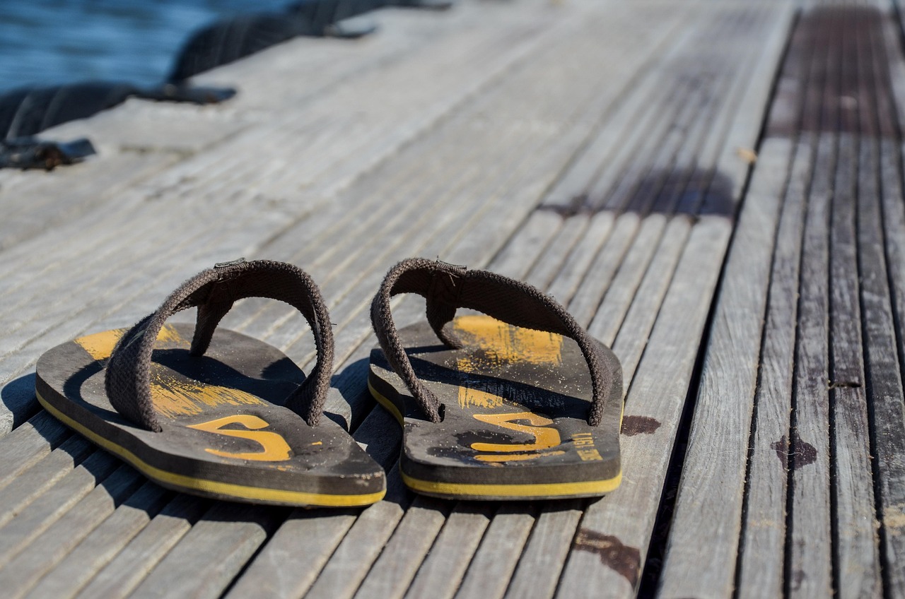 东北虎啸最新动态，生态恢复与保护的进展与挑战