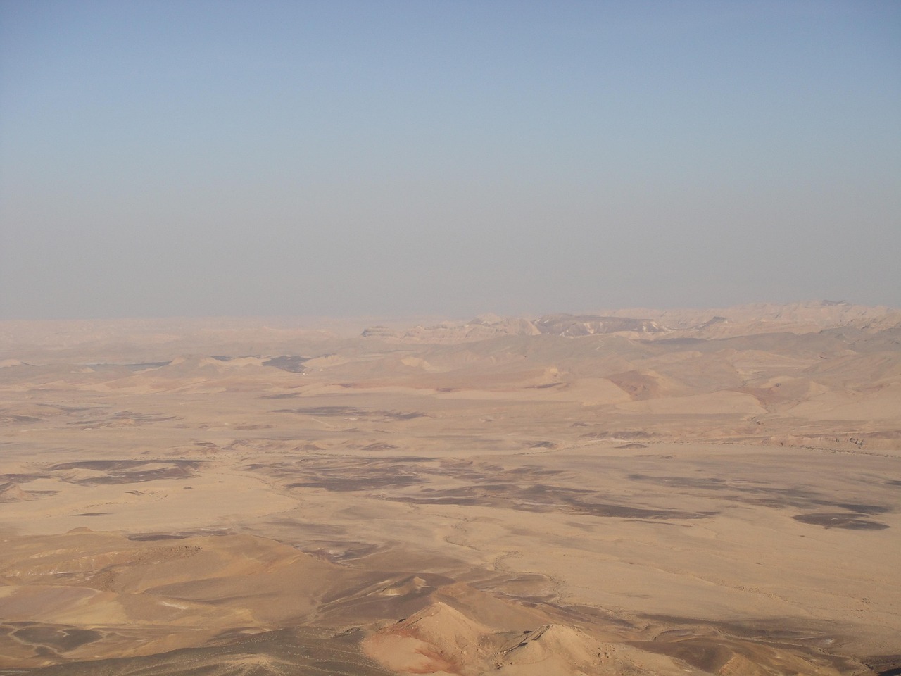 拉沙热最新研究动态及进展概述