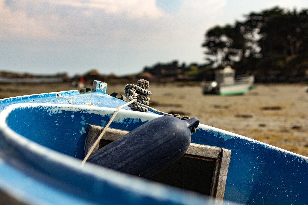 周浦疫情最新动态,全面应对,守护家园安全