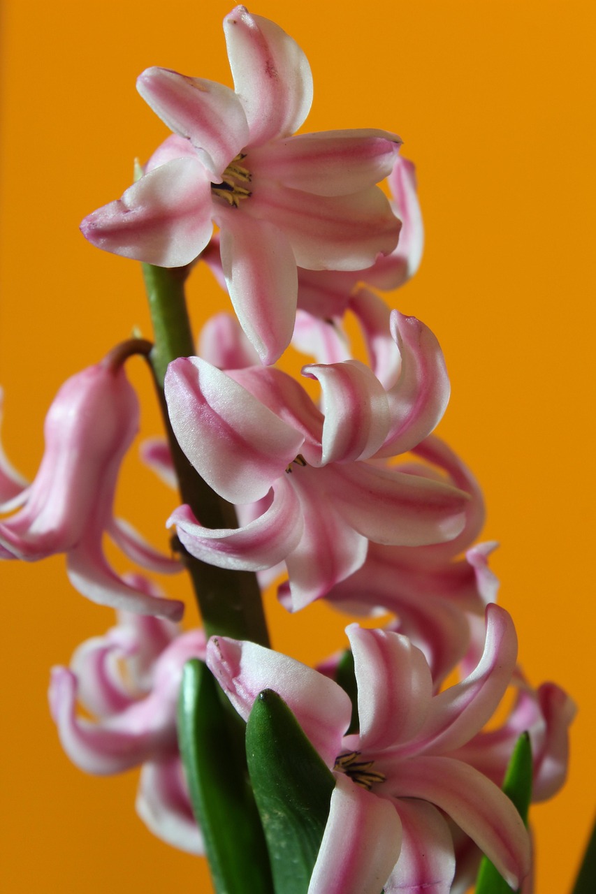 石涧镇最新发展动态概览