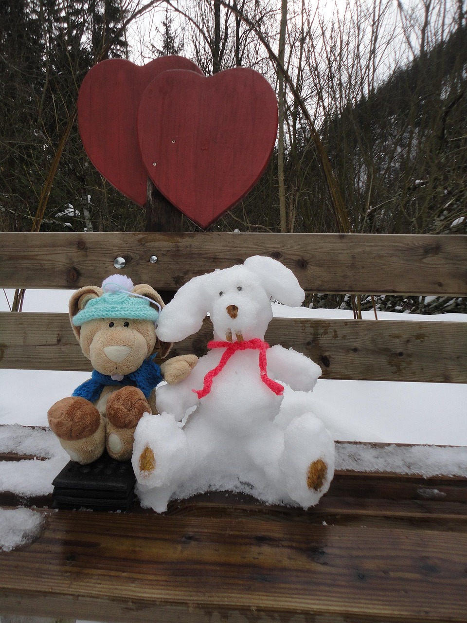 影兔网最新动态,引领数字娱乐新风潮