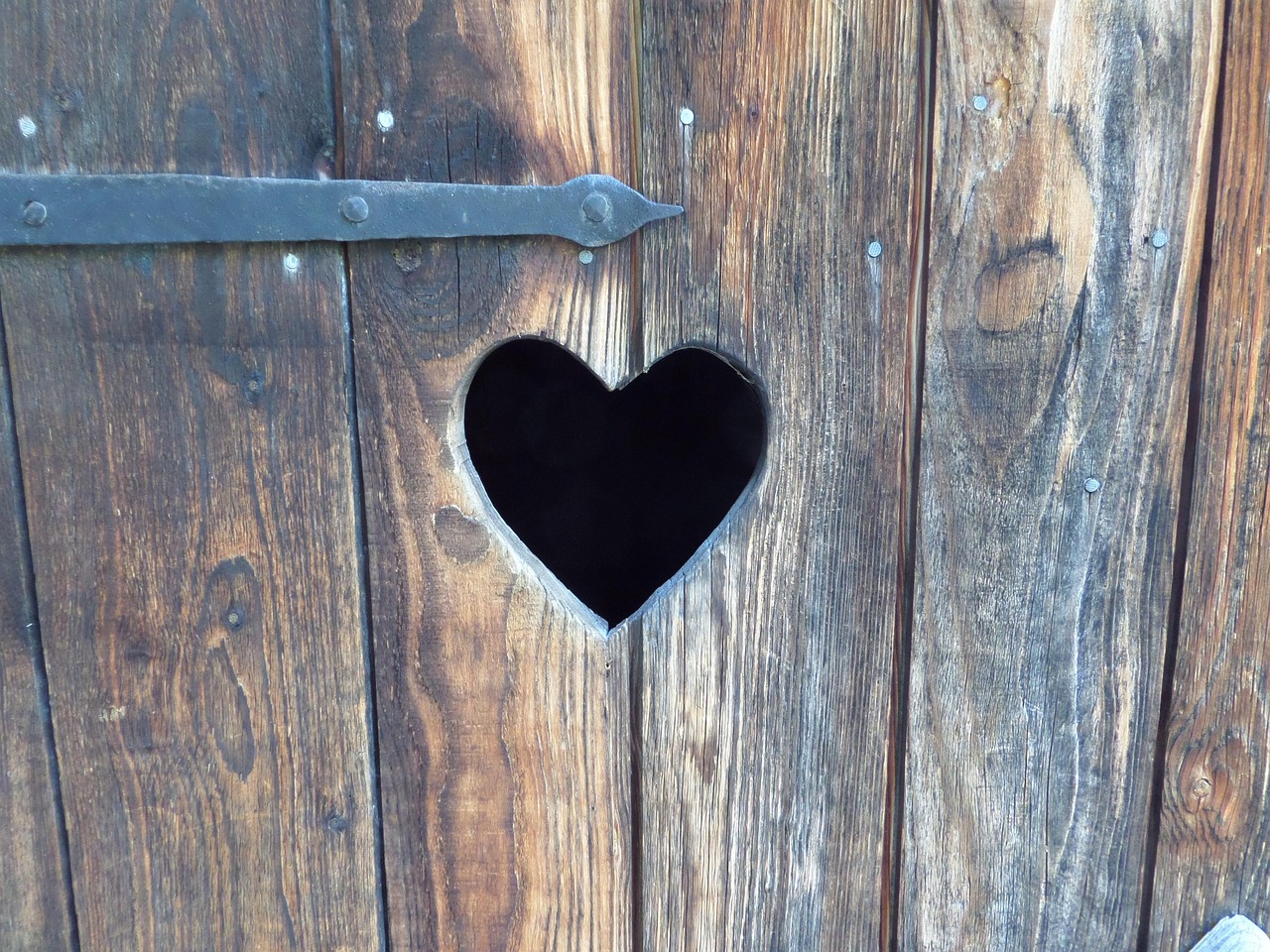 阜阳农村厕所革命最新动态,推动美丽乡村建设,改厕工作取得新进展