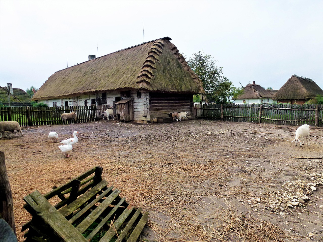 革新建筑方式,最新用土建房推动可持续发展