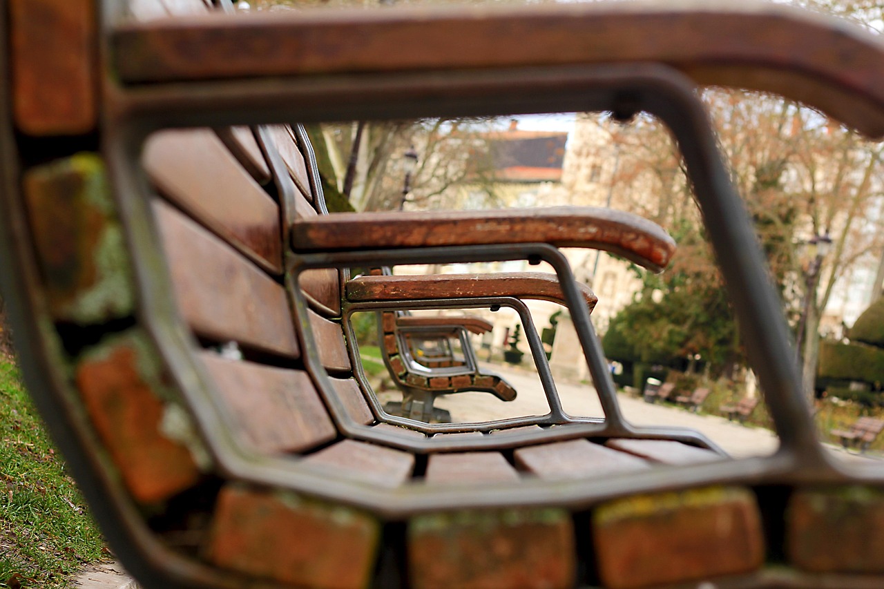 阜阳周棚，城市发展的璀璨明珠，最新发展动态解析