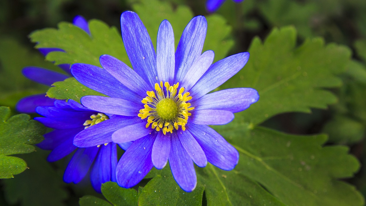 探索时代潮流,分享生活点滴,最新说说发布动态