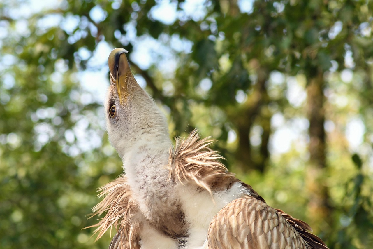 A股指指数最新动态及市场趋势深度解析