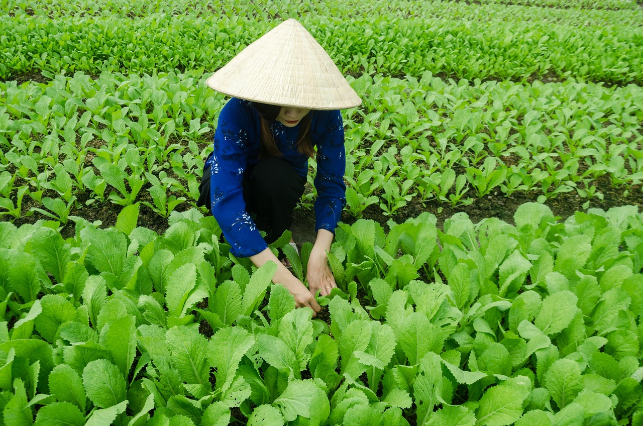 南通虹桥最新情况概览，最新动态与发展概述