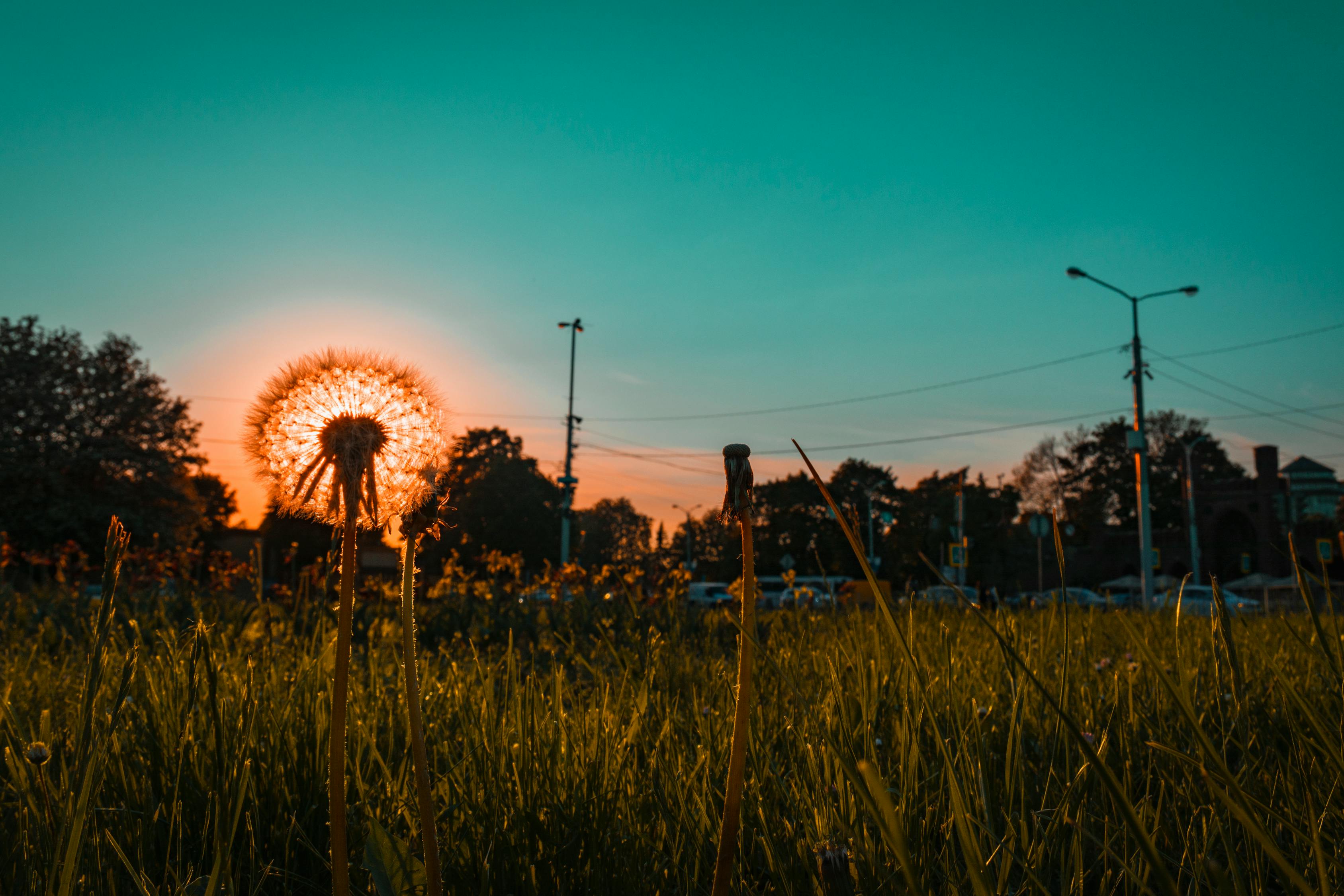 城市与自然间的交响乐章,最新雨势带来的启示