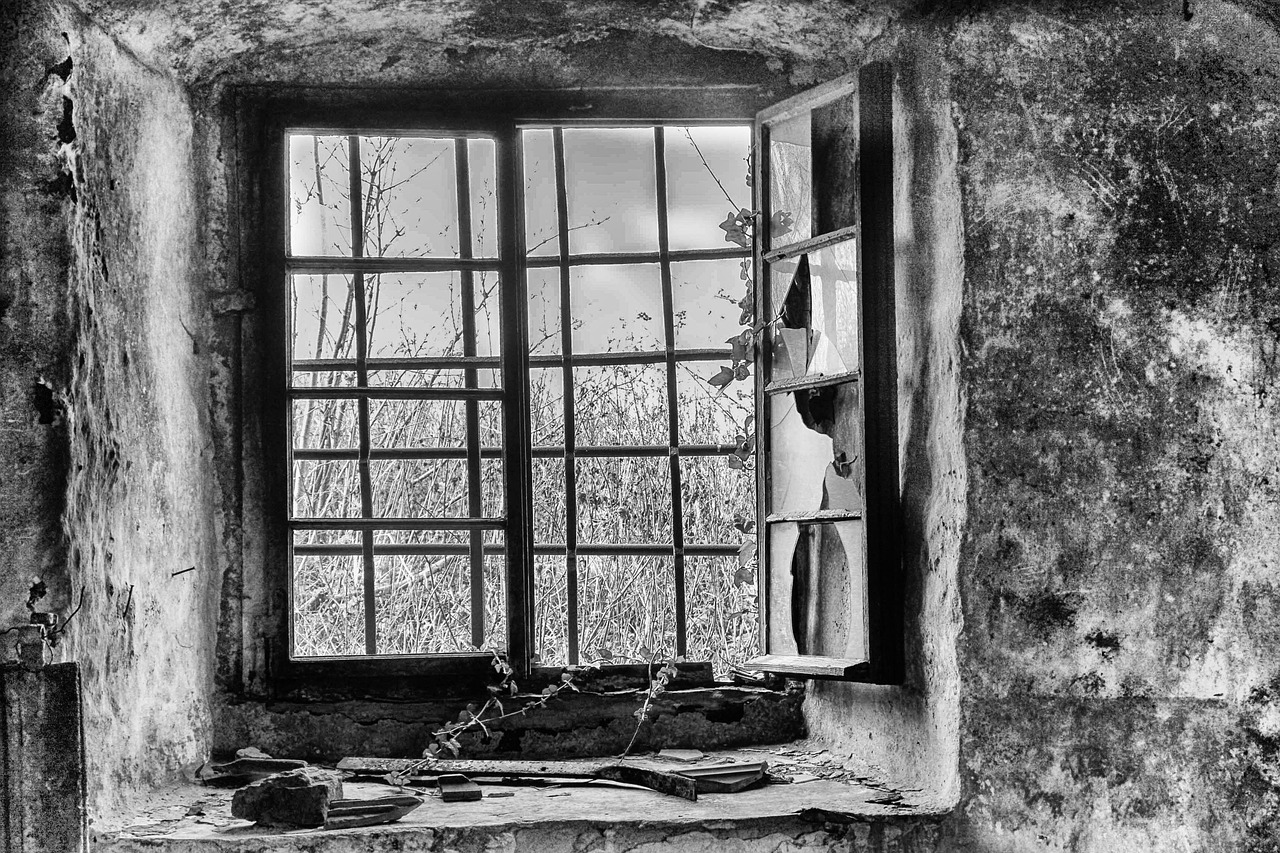 沙特最新疫情动态,六月数据分析与展望