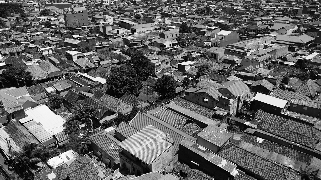 全球疫情关注热点,最新动态与防控进展