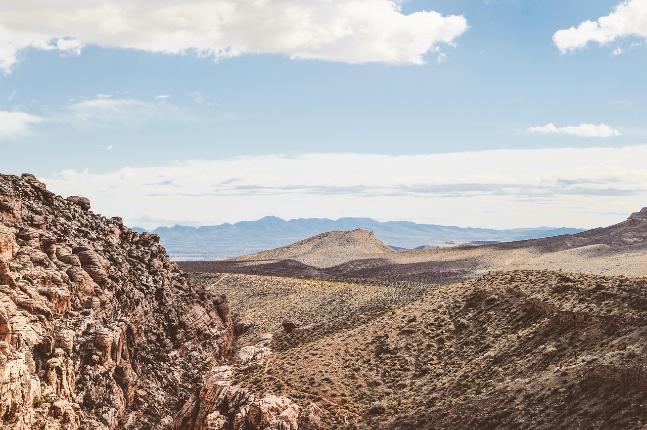 黑颜最新动态,探索与发现