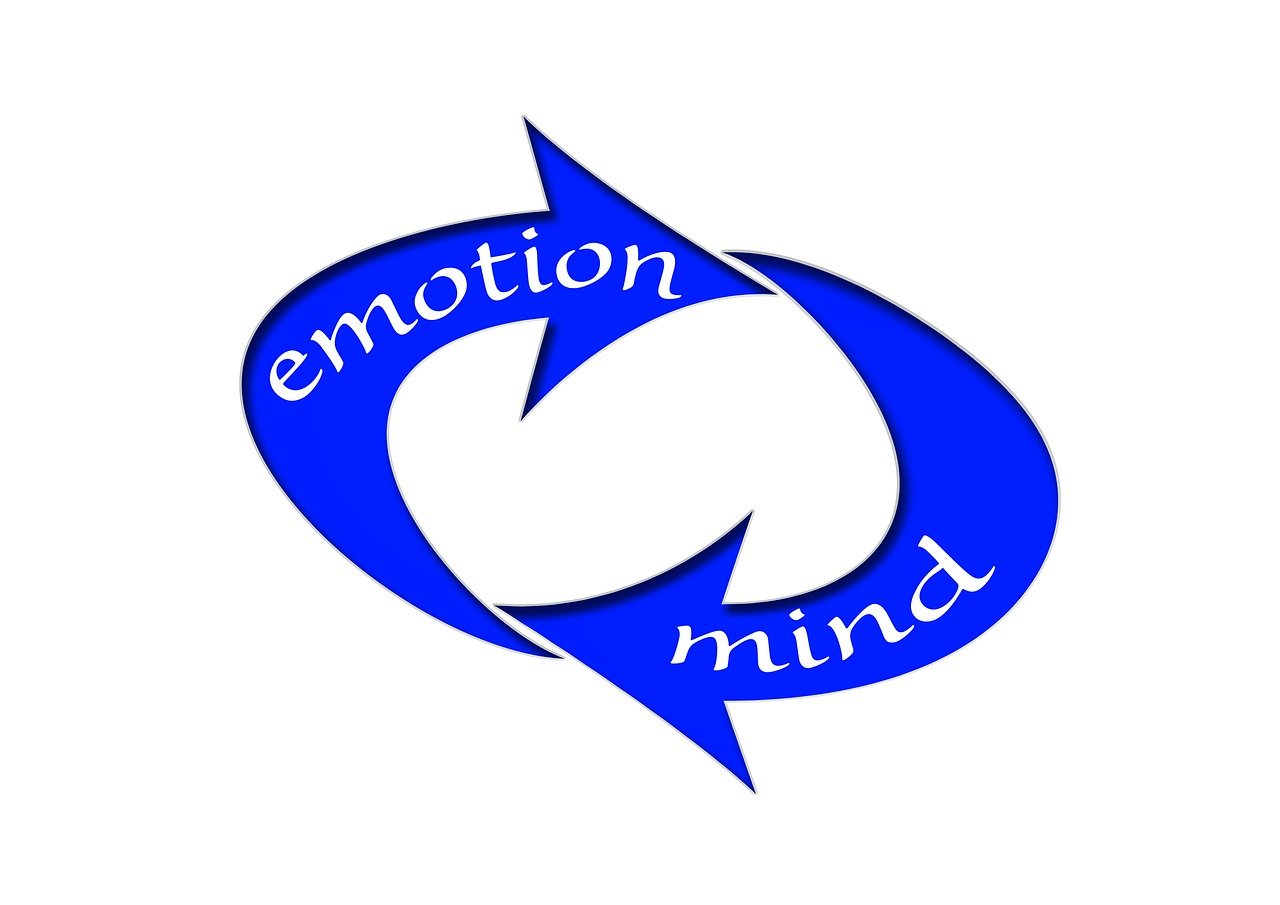 网络时代的文化新风尚,最新网名与古文的交融创新