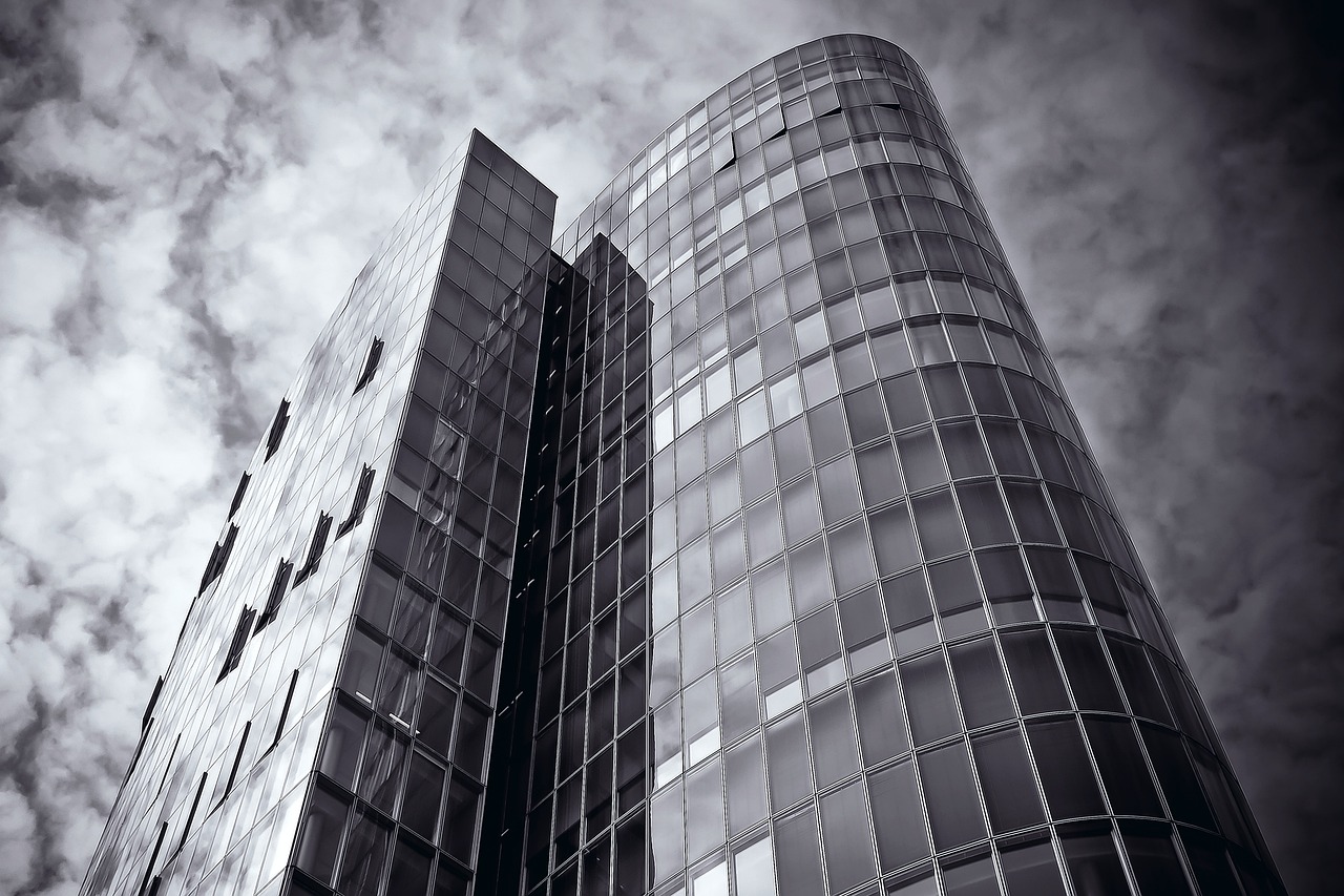 央行逆回购最新利率揭秘，影响及解读