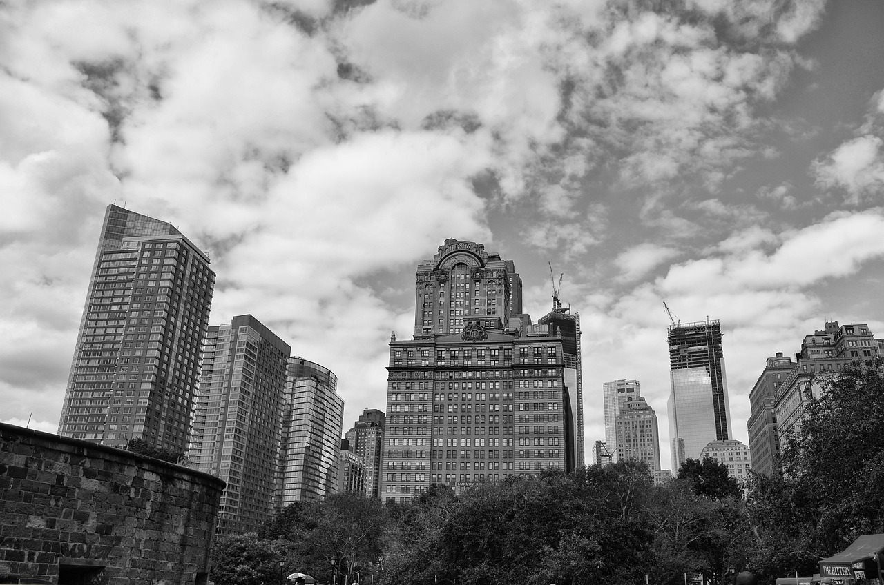 龙洲股份最新状况及深度分析